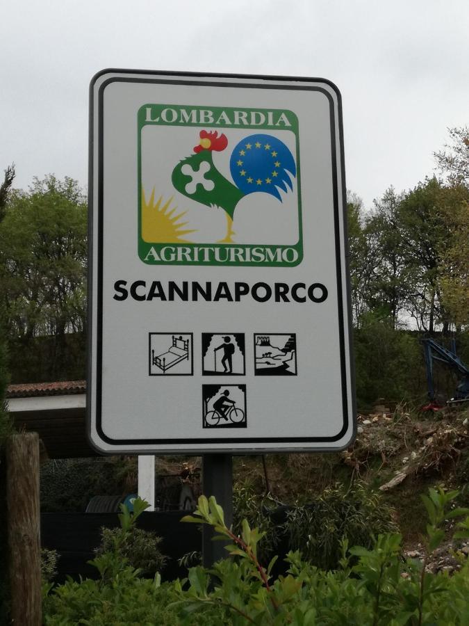 Agriturismo Scannaporco Cavriana Екстериор снимка